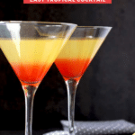 This Bikini Martini Cocktail with fruity tropical flavors and beautiful colorful layers is like a sunset in a glass. Made with coconut rum, vodka, grenadine and pineapple juice, this easy to make martini is always a showstopper!