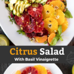 This Citrus Salad with avocado is healthy, fresh and easy to make. Seasonal citrus fruit, salad greens, avocado slices and toasted pistachios are drizzled with the best Basil Vinaigrette!