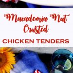 These Crunchy Macadamia Nut Crusted Chicken Tenders are coated in a delicious savory crust made from oats, macadamia nuts, Parmesan cheese and spices! So delicious it will become a family favorite!