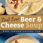 pin image of the best ever beer and cheese soup
