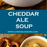 This Cheddar Ale Soup is thick, creamy, smooth and full of cheesy-goodness! Made with a light ale and a medium aged cheese to prevent bitterness. Very easy to make and ready in a bit less than 30 minutes! #cheddar #cheese #ale #beer #soup