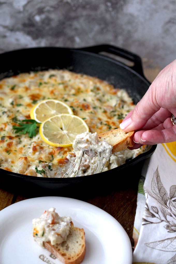 A close up view of a cast iron skillet filled with Shrimp Scampi Dip. The golden top is garnished with 2 thin slices of lemon and parsley. You can see a hand scooping the cheesy dip with a piece of toasted bread.