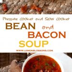 This Bean and Bacon Soup is a light and incredibly tasty. Made with diced tomatoes, carrots, celery, onions and bacon. This is a broth-y type soup. If you want to stay away from heavy and  creamy soups for a while, this one is for you!! Pressure Cooker and Slow Cooker instructions provided! #soup #bean #bacon #instantpot #slowcooker