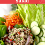 This Thai Larb recipe is made with ground chicken and has lots of flavor. This healthy low carb Thai salad is made in one skillet in 20 minutes!