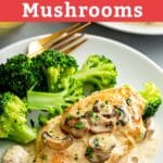 Pin image creamy chicken and mushroom served on a white plate