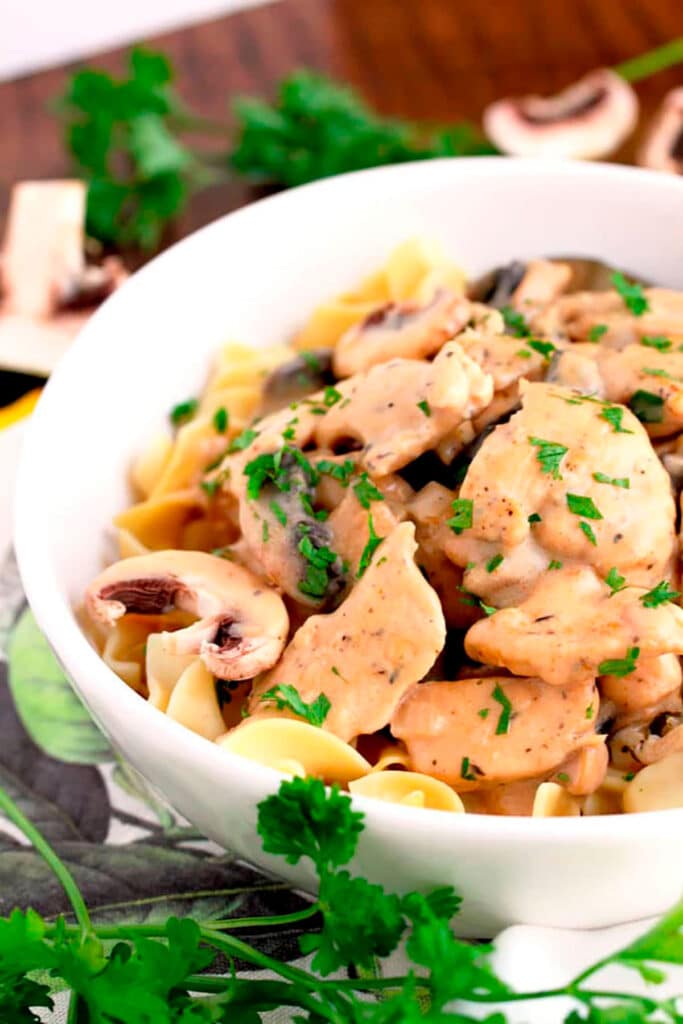 Chicken Stroganoff over egg noodles in a white bowl.