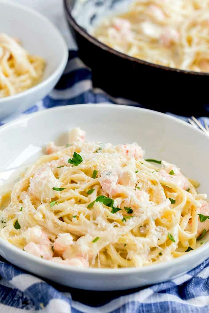 Pasta Alfredo with Shrimp served in a white bowl and topped with grated Parmesan