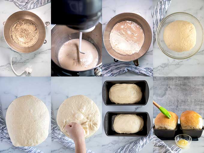 Step by step photos on how to make white bread at home.