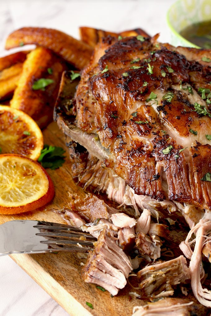 Cuban Pork roast being pulled with forks on a cutting board