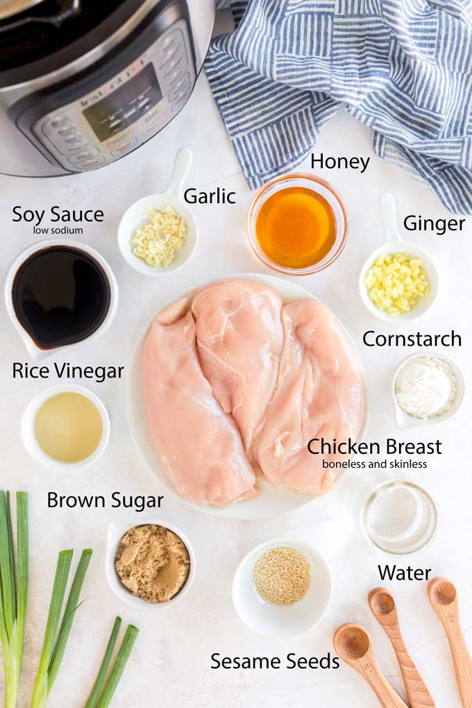 Ingredients to make teriyaki chicken in the pressure cooker.