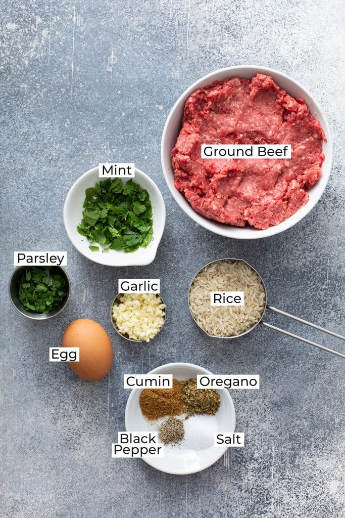 Ingredients for the Albondigas