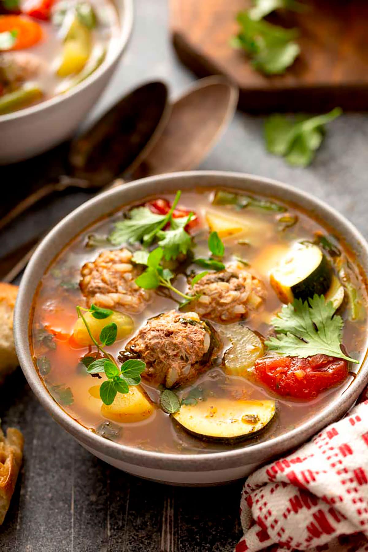 Authentic Homemade Albondigas Soup | Lemon Blossoms