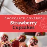 Two photos: the first one at the top is a close view of a cupcake with strawberry buttercream and the bottom picture shows 6 chocolate covered strawberry cupcakes on a cooling rack.