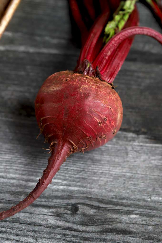 A red beet with stems attached on a dark surface