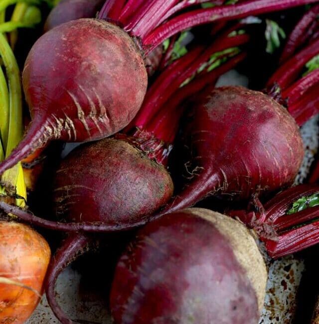 cropped-How-to-cook-beets-3.jpeg