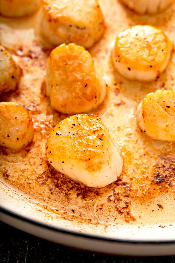Close up view of Seared Scallops on a pan 