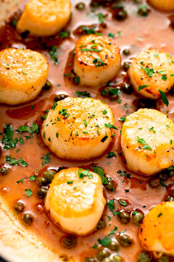 Scallops on a plate with with Lemon Garlic Butter Sauce