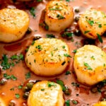 Pan Seared Scallops with Lemon Garlic Butter Sauce