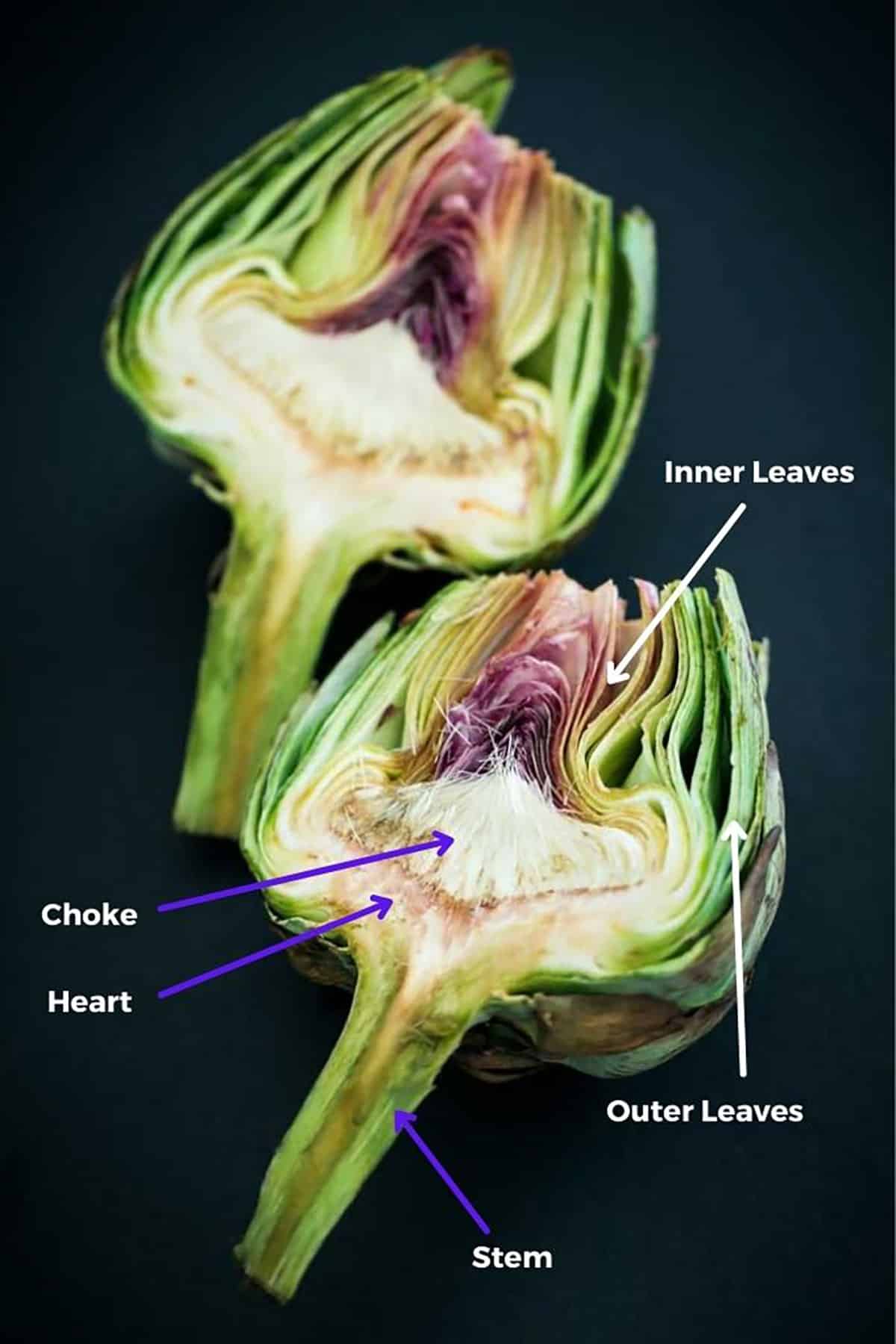 An artickoke cut in half showing the different parts of an artichoke