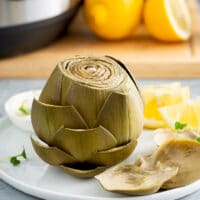 Cooked whole artichoke on a white plate