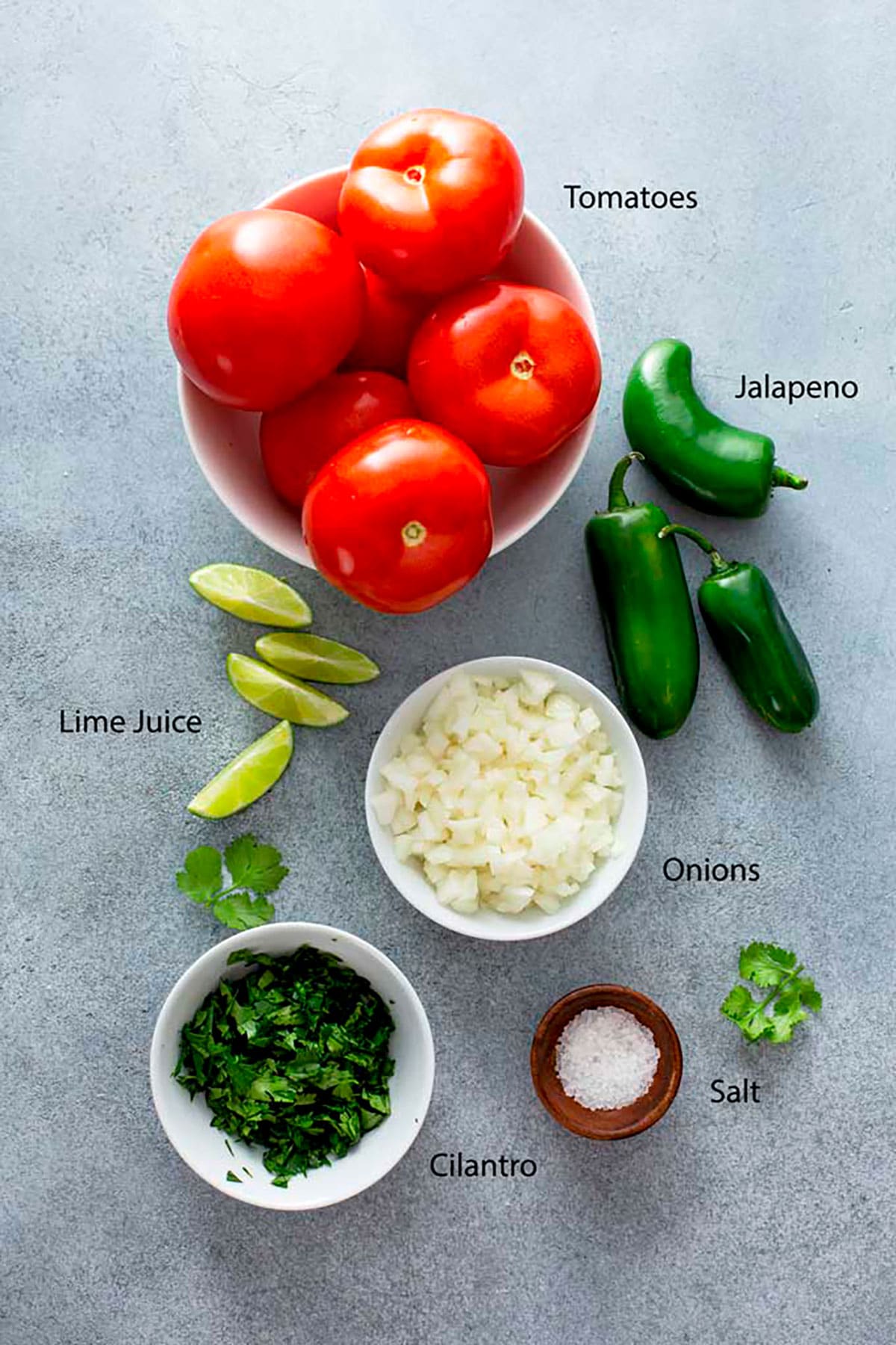 Ingredients to make salsa at home