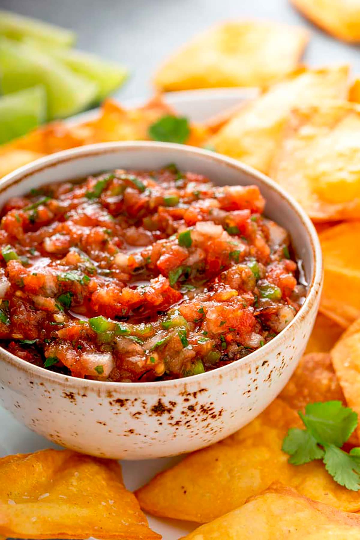 A bowl of Mexican salsa with chips