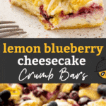 Pin image of blueberry lemon crumb bars