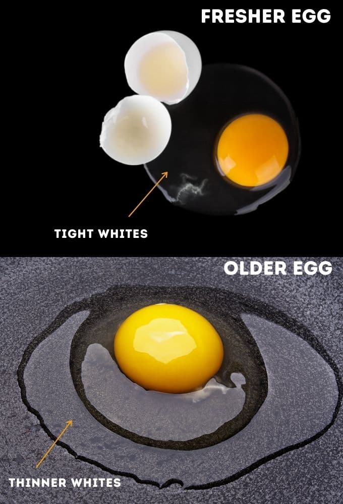 Two images showing a fresher egg with tight whites and an older egg with thinner whites
