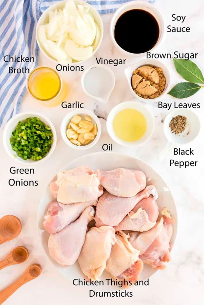 All the ingredients for the Chicken Adobo recipe over a white surface
