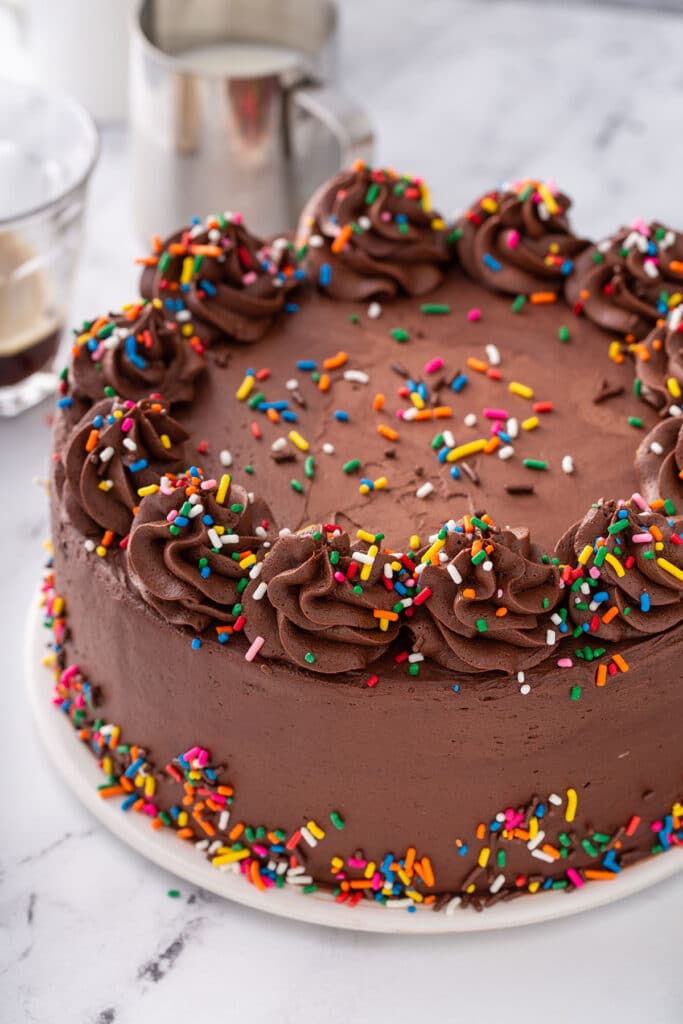 A chocolate cake frosted with chocolate buttercream and decorated with sprinkles