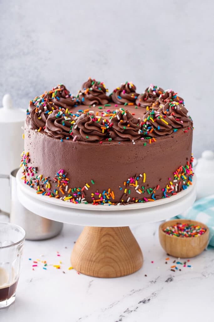 A chocolate cake frosted with chocolate buttercream and decorated with sprinkles