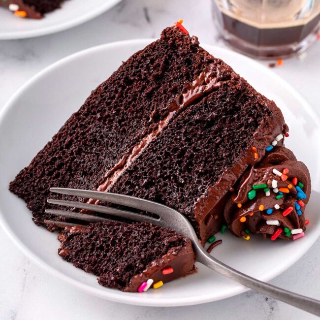 Piece of chocolate cake with chocolate frosting and sprinkles on a white plate