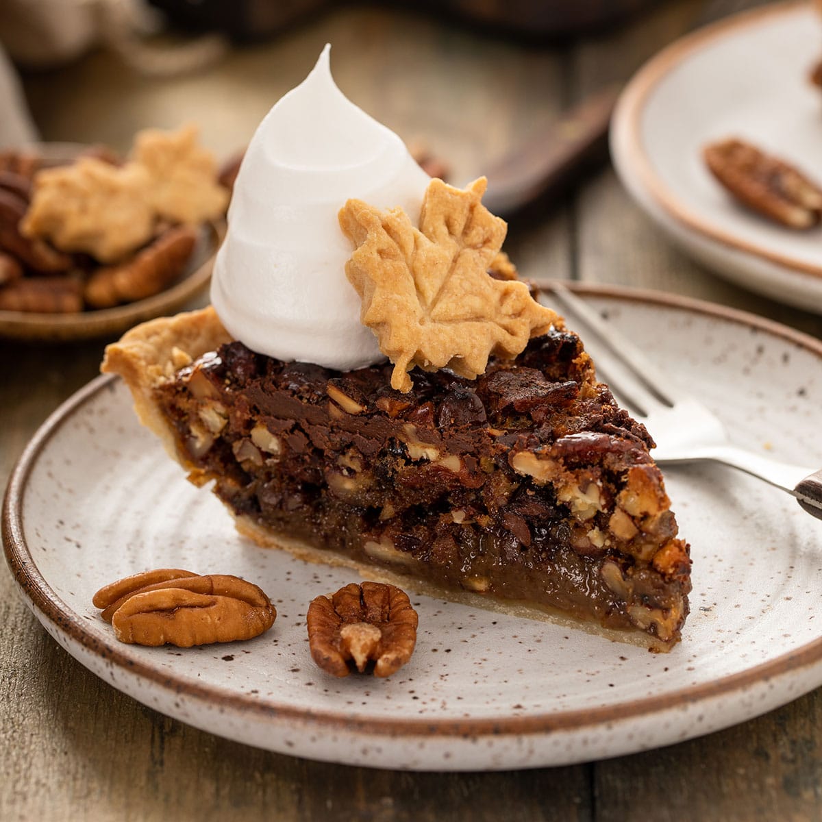 Chocolate Pecan Pie Recipe - Lemon Blossoms