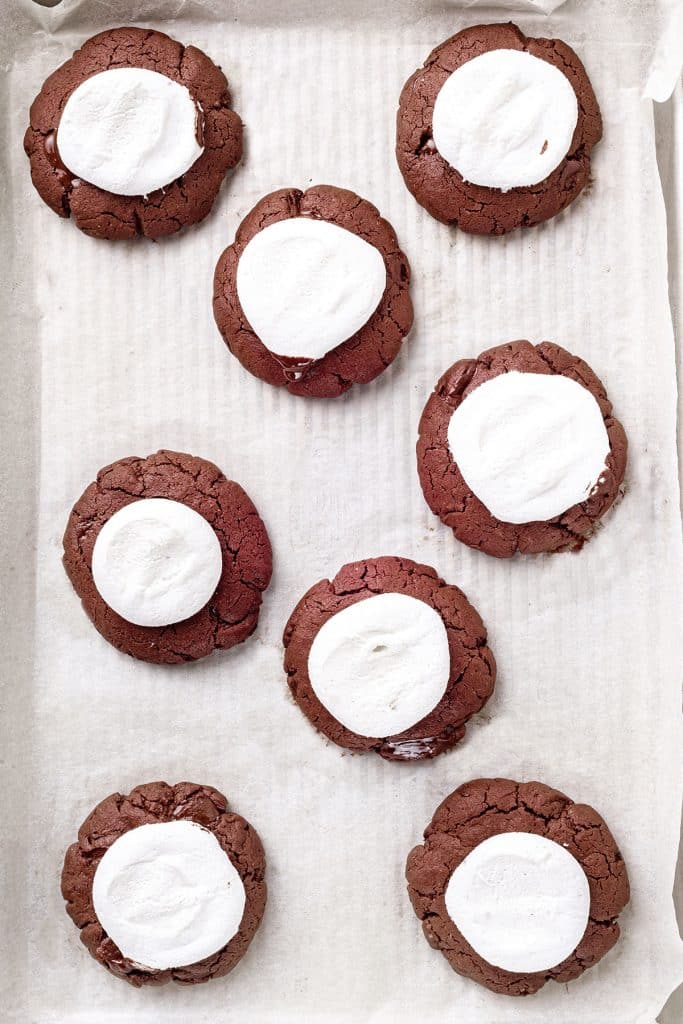 eight Hot Chocolate Peppermint cookies with marshmallows on top in a baking sheet.