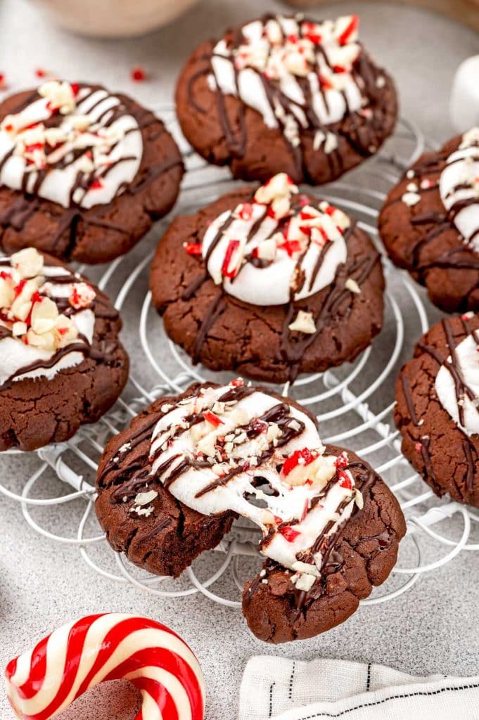 Chocolate cookies with melted ooey gooey marshmallow and crushed peppermint candy cane drizzled with chocolate
