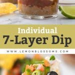 Individual seven layer dip pin image
