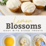 pin image of lemon blossoms