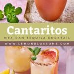 pin image of Mexican cocktail