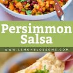 Pin image of persimmon salsa fresca