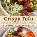 Crispy marinated tofu pin image