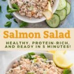pin image of canned salmon salad