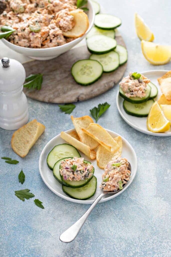 A spoonful of creamy salmon salad on a plate with cucumber rounds and pita chips