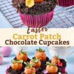 easter carrot patch cupcakes pin image