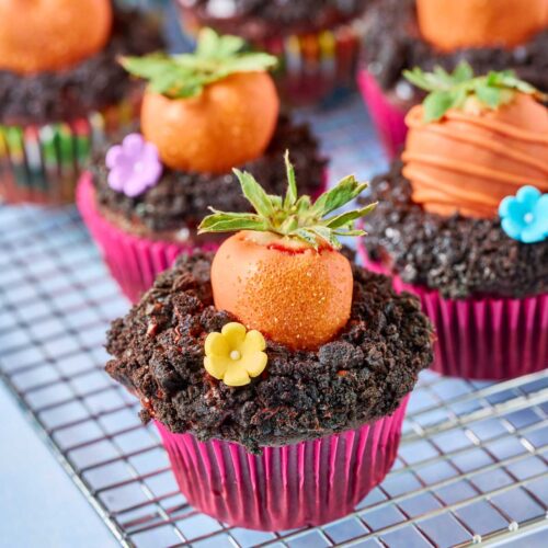 Chocolate carrot patch cupcakes for easter set on a rack