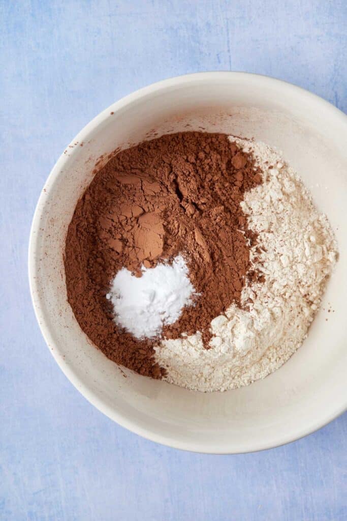Unsweetened cocoa powder, flour, salt and baking soda in a bowl