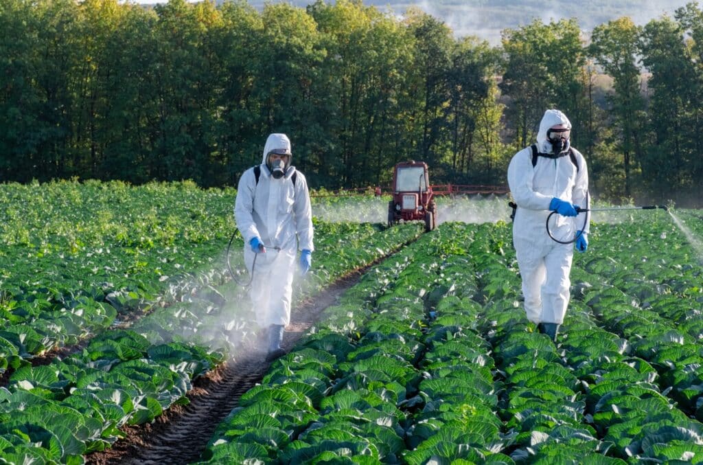 Two agricultural workers in full white hazmat suits and respirators spray pesticide by hand across rows of cabbage, with a red tractor spraying in the background.