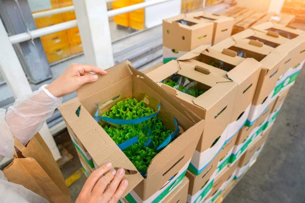 A food industry worker in a protective sleeve opens a cardboard shipping box packed with bagged heads of green lettuce, stacked on a pallet in a distribution facility.