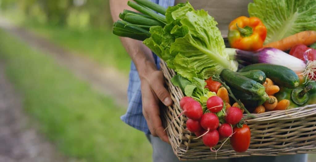 A person in a chambray shirt carries a wicker basket brimming with fresh garden vegetables including radishes, tomatoes, lettuce, zucchini, a bell pepper, and green onions.