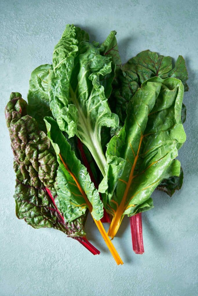A loose bunch of rainbow chard