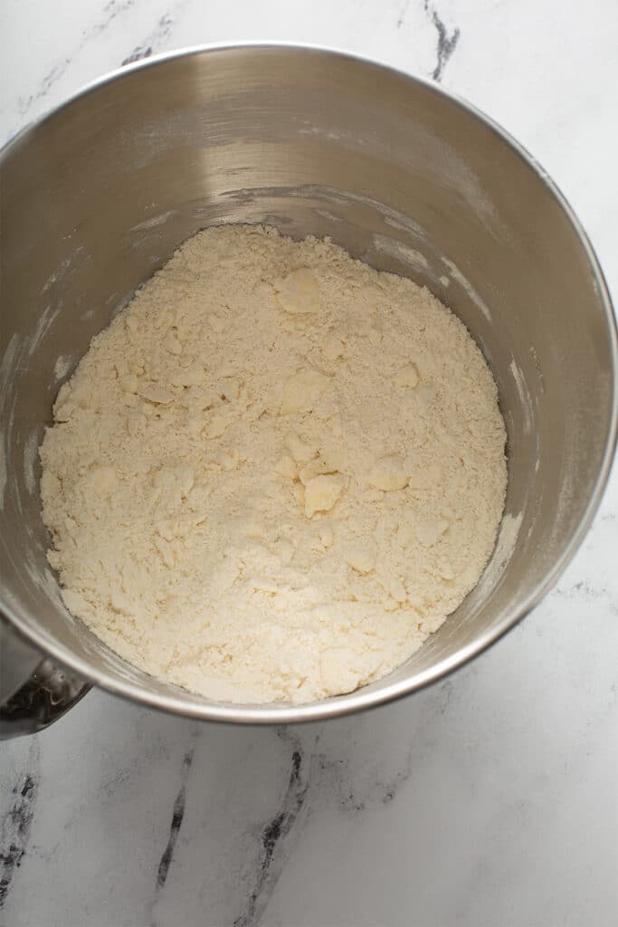 dry ingredients and butter in a mixer